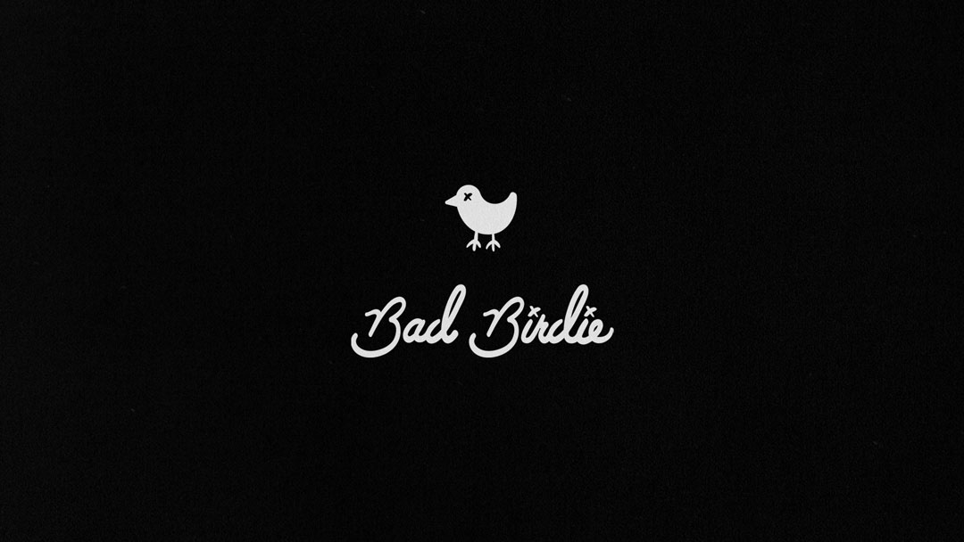 Bad Birdie Golf